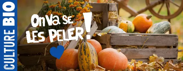 Tout est bon dans la saison : on va se les peler ! Tout est bon dans la saison : on va se les peler !